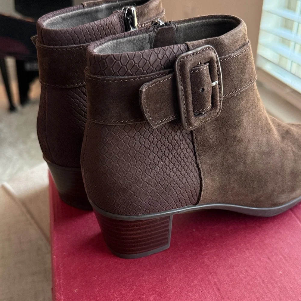 Munro Espresso Suede Ankle Booties with Buckle